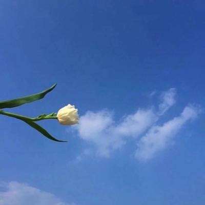 魔导士挂机最新版下载